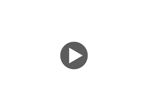 動画を再生