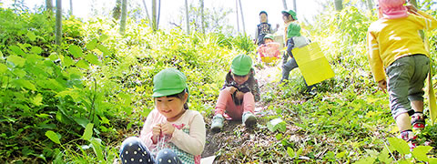 南足柄で子育てしよう